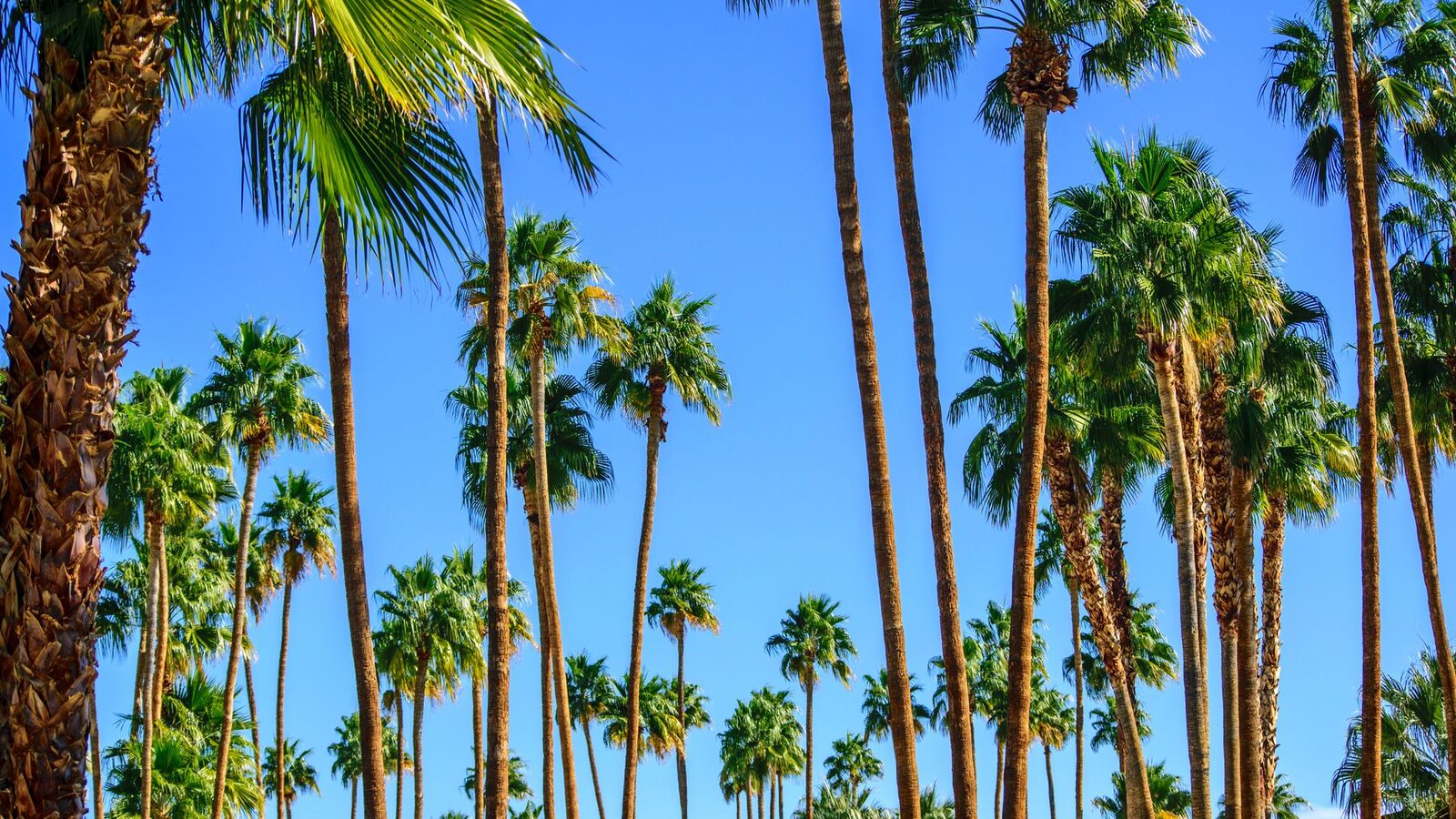 Garden Grove, California