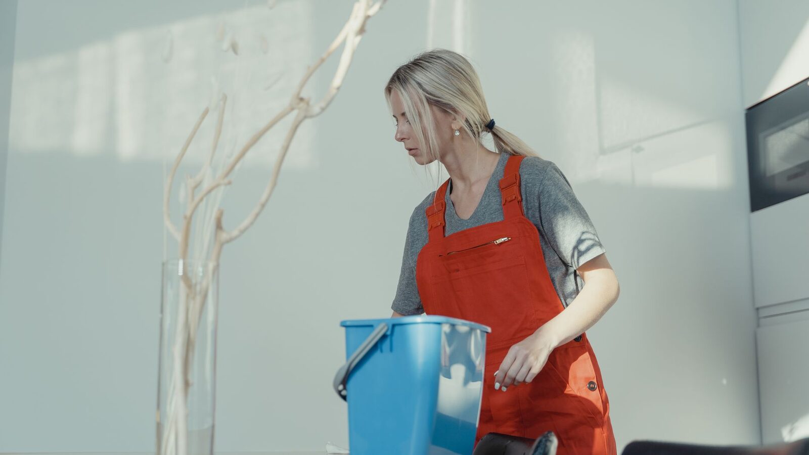 Cleaning Services businesses