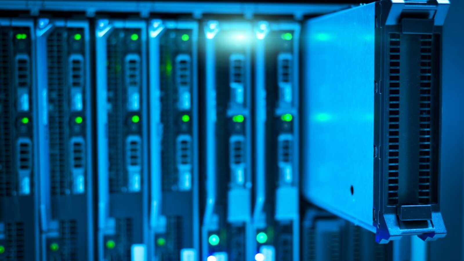 IT & Managed Services businesses