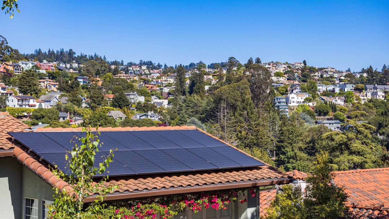 Solar & Home Energy businesses