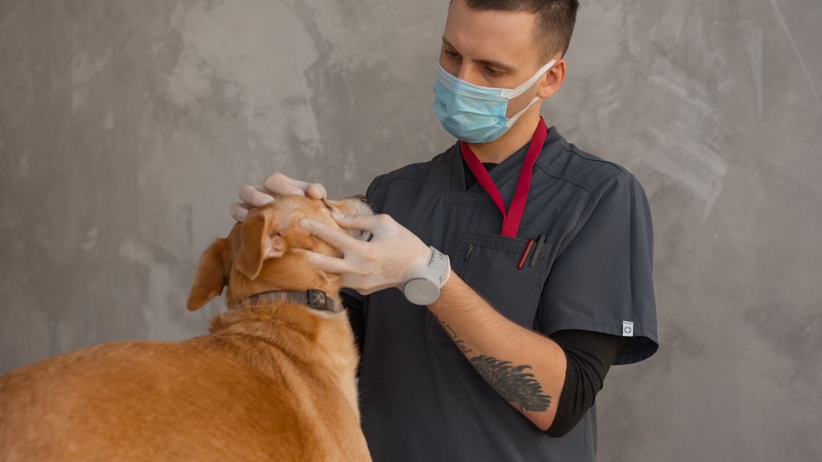 Veterinary & Pet Care businesses